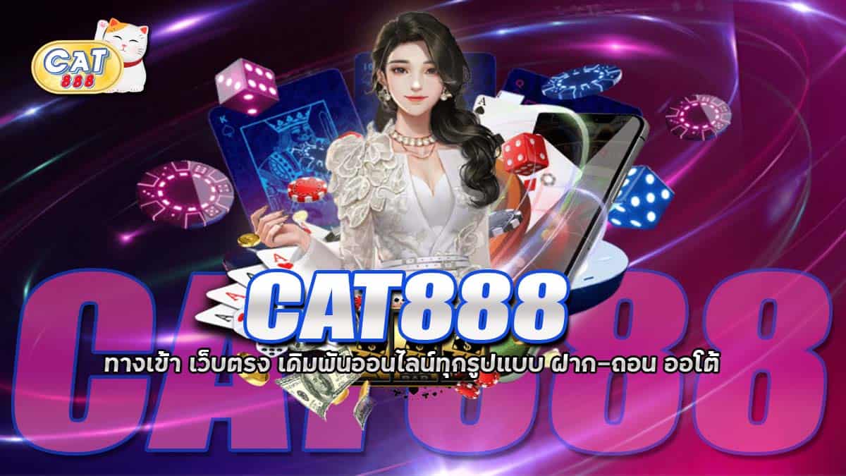 cat888